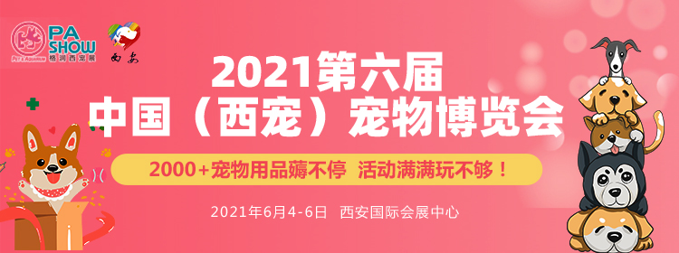 2021第六届中国西宠宠物博览会来啦 台州龙鱼论坛 台州水族批发市场第14张