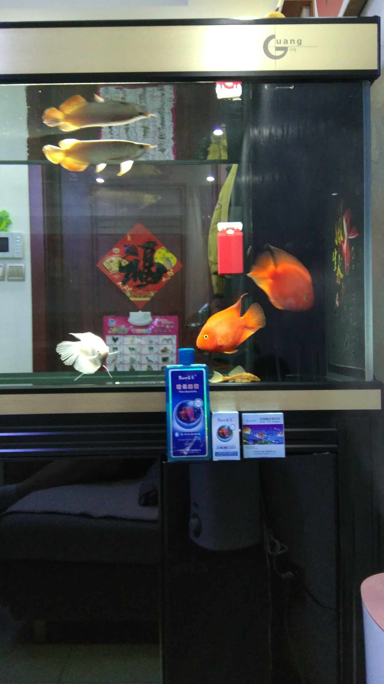 益尔销化细菌报告 杭州观赏鱼 杭州龙鱼第4张