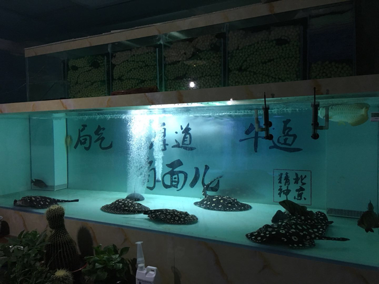 个人繁殖北京鱼友圈