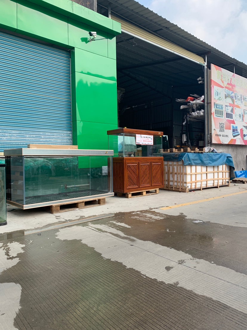 Exports： Malaysia： Shipment Fish Medicine and AROWANA Fish Food ASIAN AROWANA,AROWANA,STINGRAY The1sheet