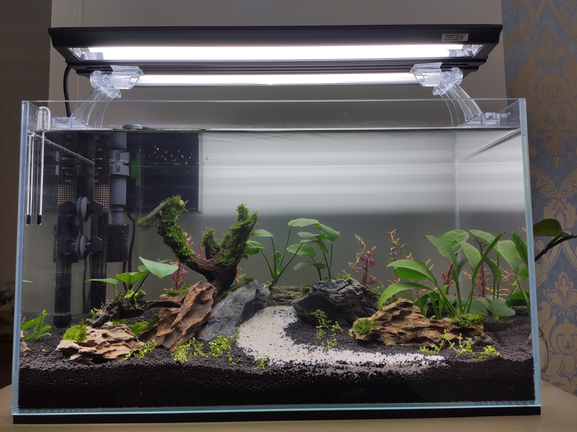 Galaxy P14 Stingray Novices ask for help and a few questions about new tanks