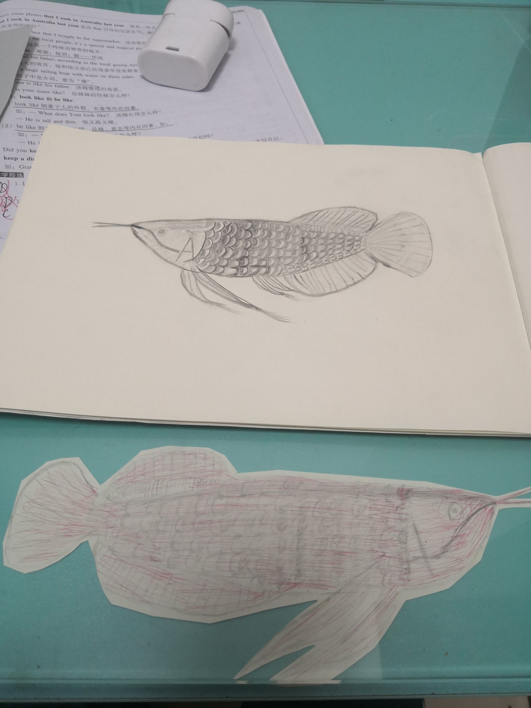 Bored fish in school self-study