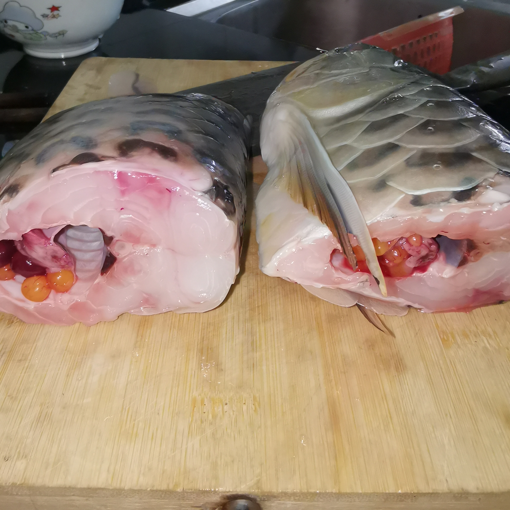 Brazilian Asiatic Fish 千元大餐 SUPER RED AROWANA ASIAN AROWANA,AROWANA,STINGRAY The4sheet