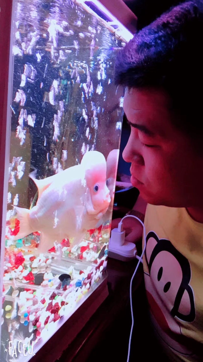 上海龙缸雪山母鱼 上海龙鱼论坛 上海龙鱼第4张
