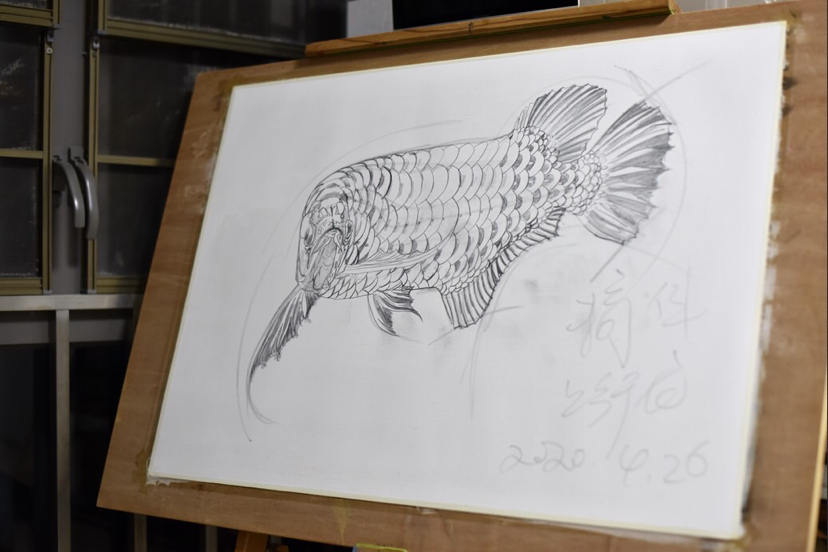 渭南龙鱼混养四大神兽红龙鱼原图与手绘作品对比 渭南龙鱼论坛 渭南龙鱼第2张